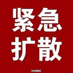 新爆料最新消息,最新热点事件背后惊人真相！”
